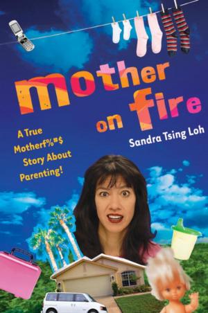 Cover of Mother on Fire