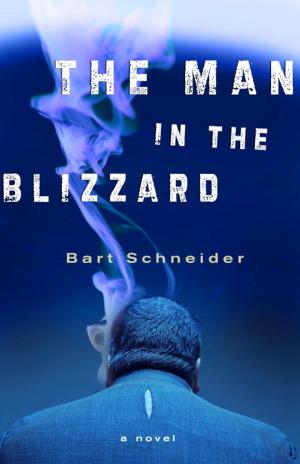 Cover of the book The Man in the Blizzard by David Hay