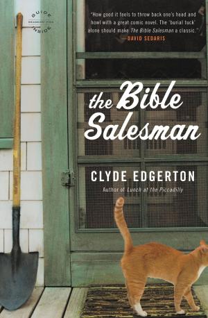 bigCover of the book The Bible Salesman by 