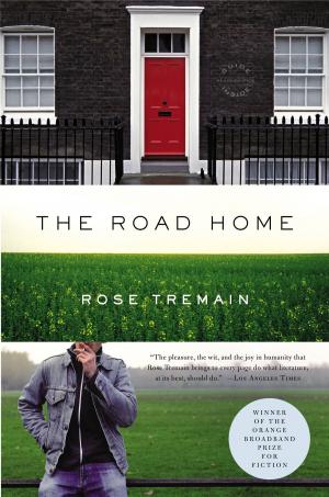 Cover of the book The Road Home by Caitlin Horrocks