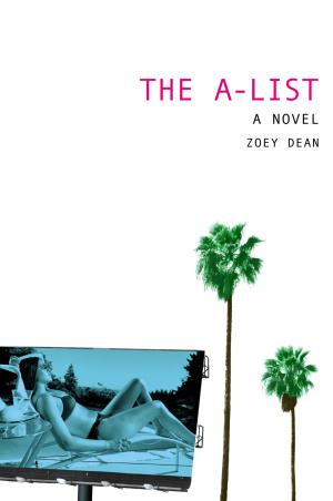 bigCover of the book The A-List by 
