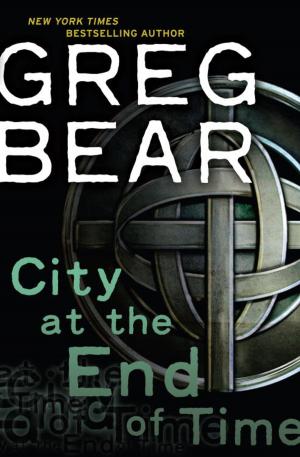 Book cover of City at the End of Time