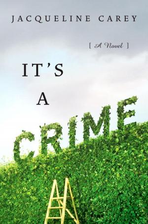 bigCover of the book It's a Crime by 