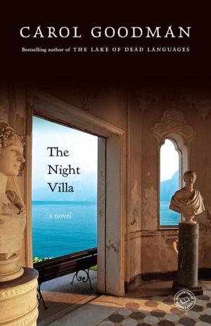 Cover of the book The Night Villa by Iris Johansen