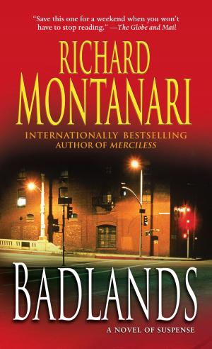 Cover of the book Badlands by Max Bolt