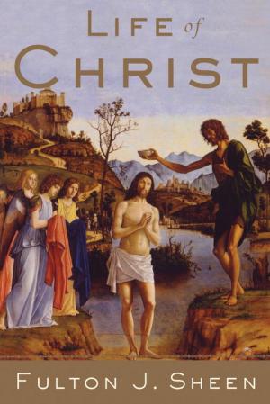 Book cover of Life of Christ