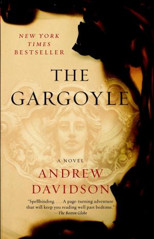 Book cover of The Gargoyle