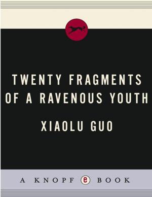 Cover of the book Twenty Fragments of a Ravenous Youth by Anthony Hecht