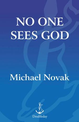 Cover of the book No One Sees God by Randy Alcorn