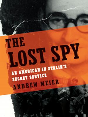 Cover of the book The Lost Spy: An American in Stalin's Secret Service by Thomas Trebitsch Parker