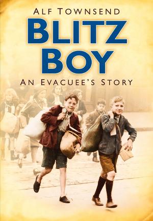 Book cover of Blitz Boy