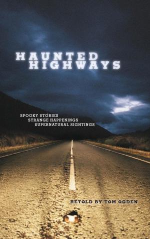 Cover of the book Haunted Highways by S. E. Schlosser