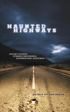 Book cover of Haunted Highways