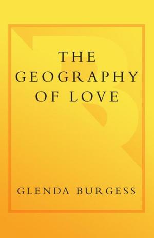 bigCover of the book The Geography of Love by 