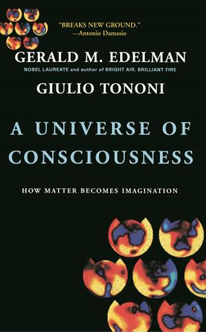 Cover of the book A Universe Of Consciousness How Matter Becomes Imagination by Paul Lurquin