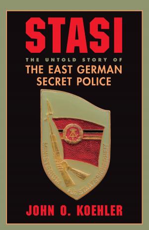 Cover of the book Stasi by Regina Lynn