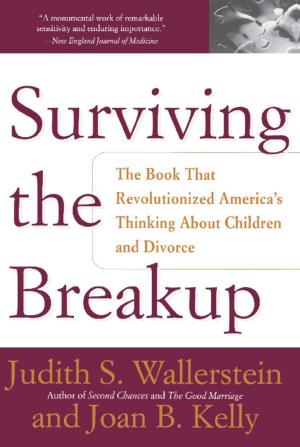 Cover of the book Surviving The Breakup by Stefan Halper, Jonathan Clarke