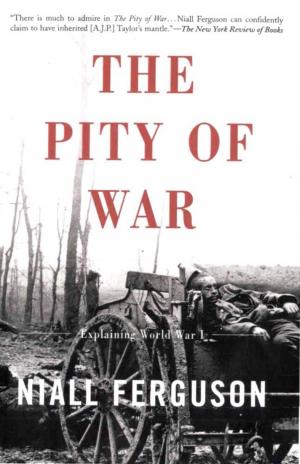 Cover of the book The Pity of War by John Palfrey