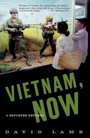 Cover of the book Vietnam, Now by Joseph Menn