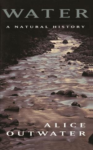 Cover of the book Water by J. Bradford DeLong, Stephen S. Cohen