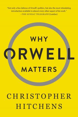 Cover of the book Why Orwell Matters by Ian Stewart