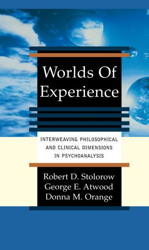 Cover of the book Worlds Of Experience by Vivien Schweitzer