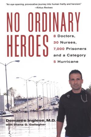 bigCover of the book No Ordinary Heroes: by 
