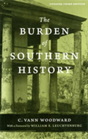 Cover of the book The Burden of Southern History by Larry J. Daniel
