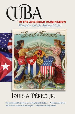 Cover of the book Cuba in the American Imagination by George Reid Andrews