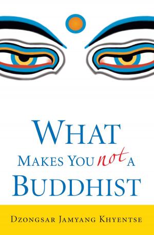 Cover of the book What Makes You Not a Buddhist by Alan Morinis