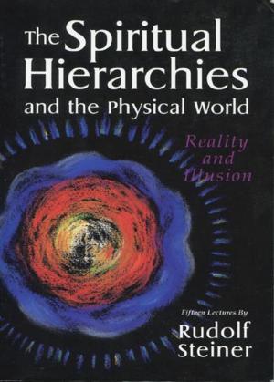 Cover of the book The Spiritual Hierarchies and the Physical World: Reality and Illusion by Rudolf Steiner