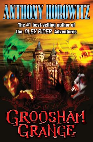 Cover of the book Groosham Grange by Jonas Boets