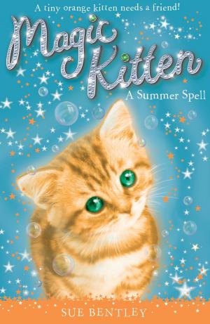 Book cover of A Summer Spell #1