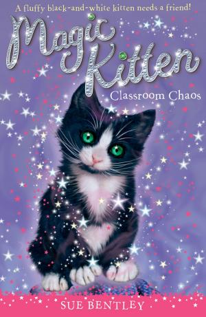 Cover of the book Classroom Chaos #2 by Sally Warner