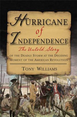 Cover of the book Hurricane Of Independence by Jaime Castellano, Ed.D, Andrea Dawn Frazier, Ph.D.