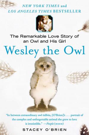Cover of the book Wesley the Owl by Randy Susan Meyers