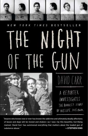 bigCover of the book The Night of the Gun by 