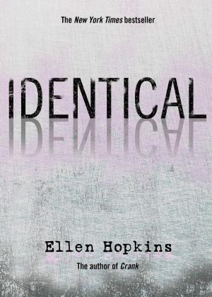 Cover of the book Identical by Holly Black