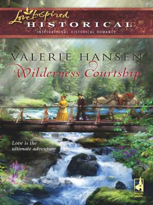 Cover of the book Wilderness Courtship by Patricia Davids