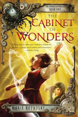 bigCover of the book The Cabinet of Wonders by 
