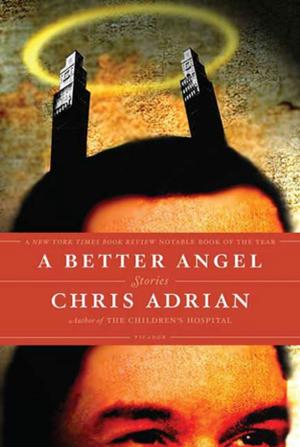 Cover of the book A Better Angel by Melanie Mitchell