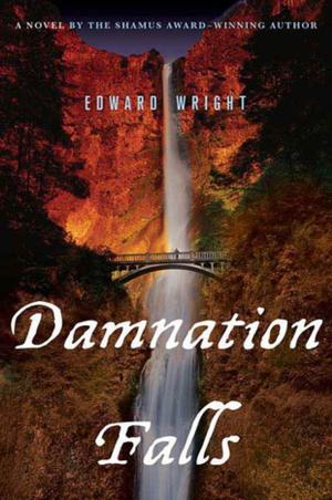 Cover of the book Damnation Falls by Christobel Kent