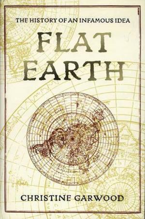 Cover of the book Flat Earth by Annie Garrett