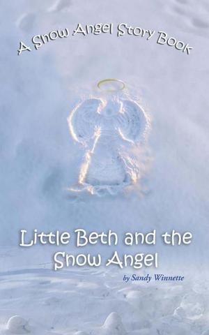 Cover of the book A Snow Angel Story Book by Vincenzo Spiaggi