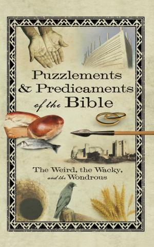 Cover of the book Puzzlements & Predicaments of the Bible by Carter Paysinger, Steven Fenton