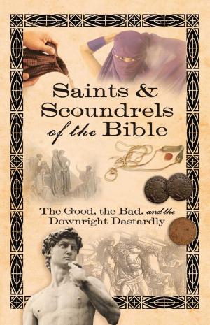 Cover of the book Saints & Scoundrels of the Bible by DeVon Franklin