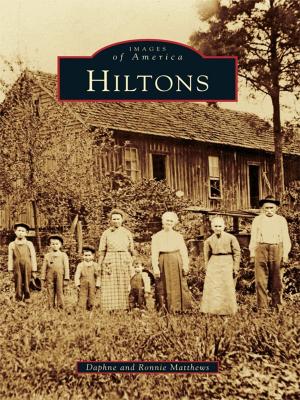 Cover of the book Hiltons by Antonio Gonzalez