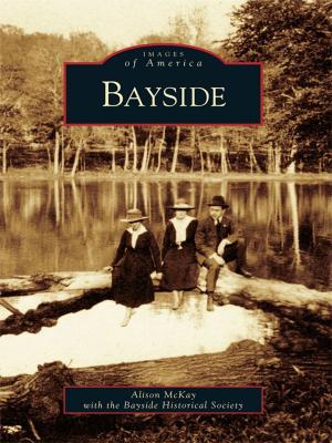 Cover of the book Bayside by Bartee Haile