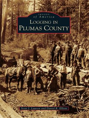 Book cover of Logging in Plumas County