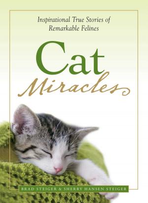 Cover of the book Cat Miracles by Dave Canterbury